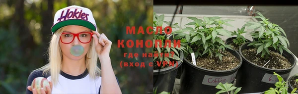 spice Краснослободск