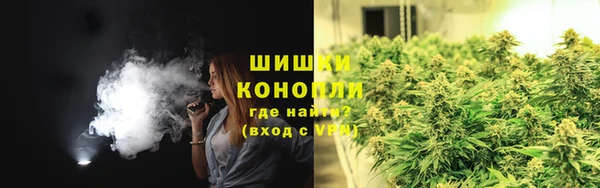 spice Краснослободск