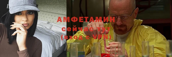 индика Красноперекопск