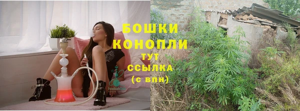 крисы Алагир
