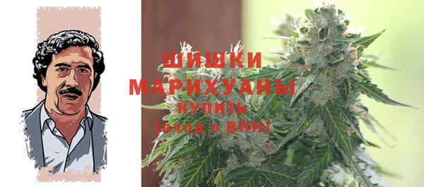 spice Краснослободск