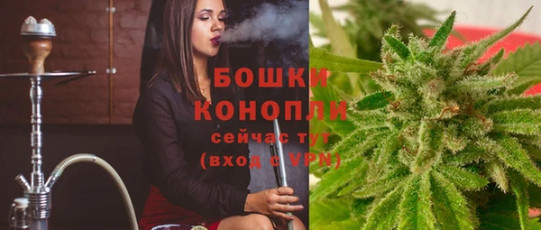 крисы Алагир