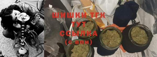 индика Красноперекопск
