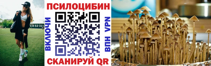 Псилоцибиновые грибы мухоморы  Купить закладки  Володарск 